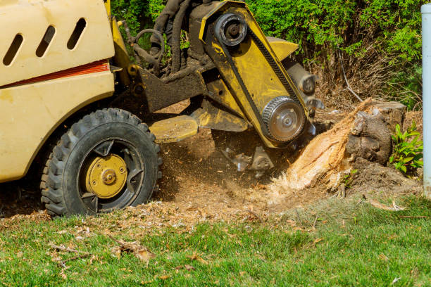 Lawn Irrigation Installation and Maintenance in Norlina, NC